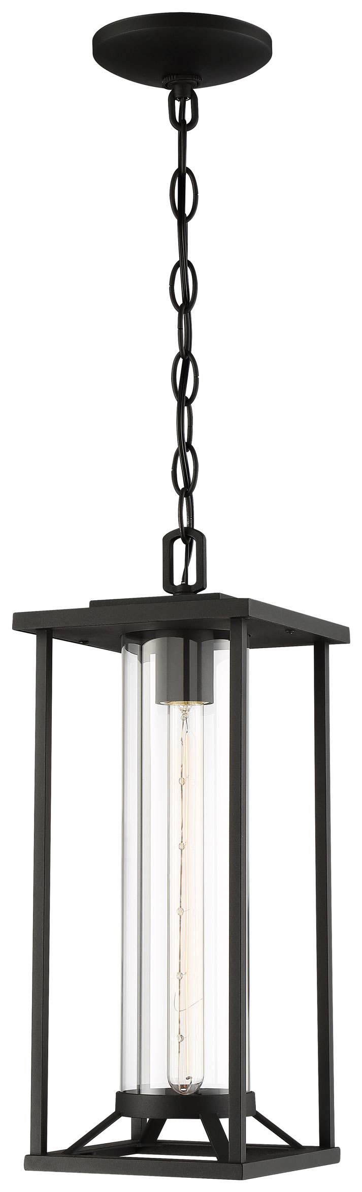 TRESCOTT - 1 LIGHT CHAIN HUNG
