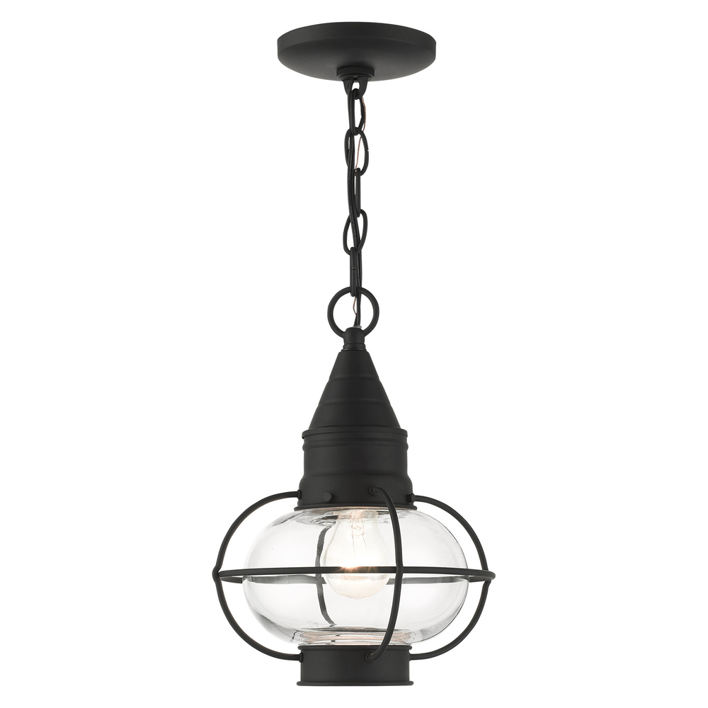 1 Lt Black Outdoor Pendant Lantern