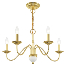 Livex Lighting 52165-02 - 5 Lt Polished Brass Chandelier