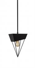 Toltec Company 1503-ES-LED18A - Pendants