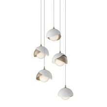 Hubbardton Forge 131125-SKT-LONG-84-02-GG0711 - Brooklyn 5-Light Double Shade Pendant