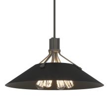 Hubbardton Forge 136340-SKT-MULT-20-10 - Henry Pendant