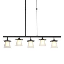 Hubbardton Forge 136605-SKT-STND-10-ZU0284 - Wren 5 Light Pendant