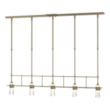 Hubbardton Forge 137725-SKT-STND-84-ZM0343 - Erlenmeyer 5 Light Pendant