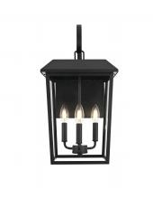 Elegant OD502W22BK - Riggs 11 inch Outdoor Wall Sconce in Black