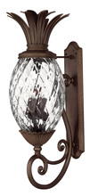 Hinkley 2225CB - Extra Large Wall Mount Lantern